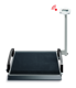 Rollstuhlwaage seca  665